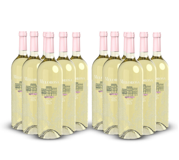 Bundle and Save - 12 Bottles of Sauvignon Blanc