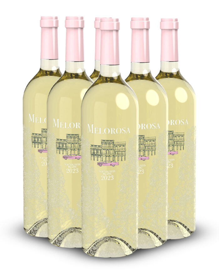 Bundle and Save - 6 Sauvignon Blanc